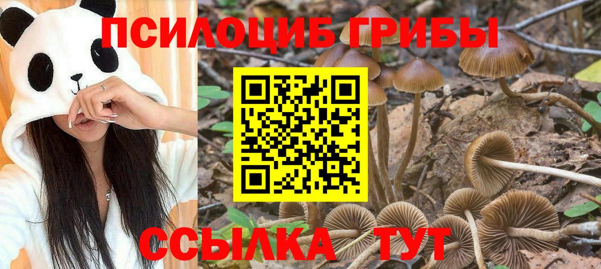 Галлюциногенные грибы мухоморы  где продают   Татарск  Вход с VPN 