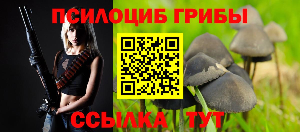 Галлюциногенные грибы Psilocybe Татарск